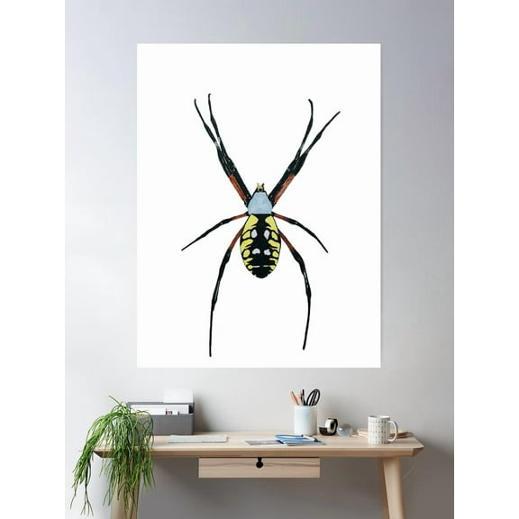 Garden Spider Poster Wall Art, Modern Wall Decor For Living Room Bedroom, 8x12 UNFRAMED