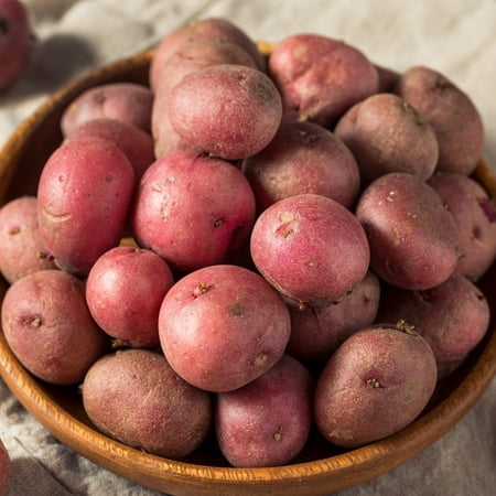 Garden State Bulb Red Norland Seed Potatoes for Planting, Non-GMO (5LB Bag )