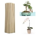 thumbnail image 1 of Garden SticksforPlants Support, Wooden Garden Stakes, 12 In, Stackable Plant Support, Potted Greenery, 50 Pc, 1 of 8