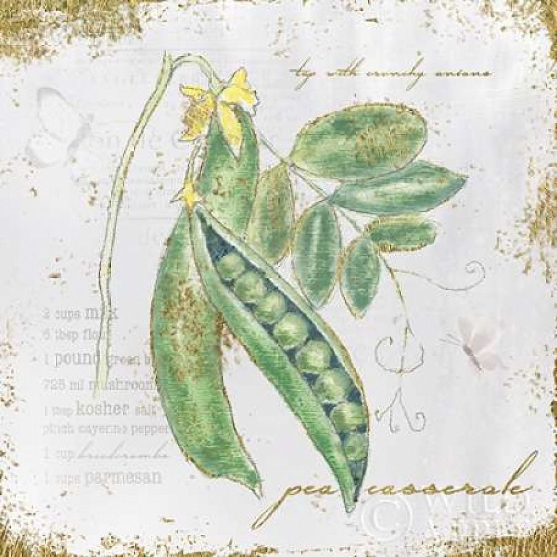 Garden Treasures X Canvas Art - Emily Adams (24 x 24)