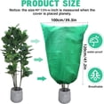 thumbnail image 1 of Garden Tree and Shrub Protection Cover – Frost, Weather, and Animal Damage Shield for Yard and Garden Plants, Breathable Non-Woven Material, 1 of 5