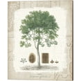 thumbnail image 1 of Garden Trees I - Tropical Gayc Tree by Wild Apple Portfolio, Canvas Wall Art, 16W x 20H, 1 of 1