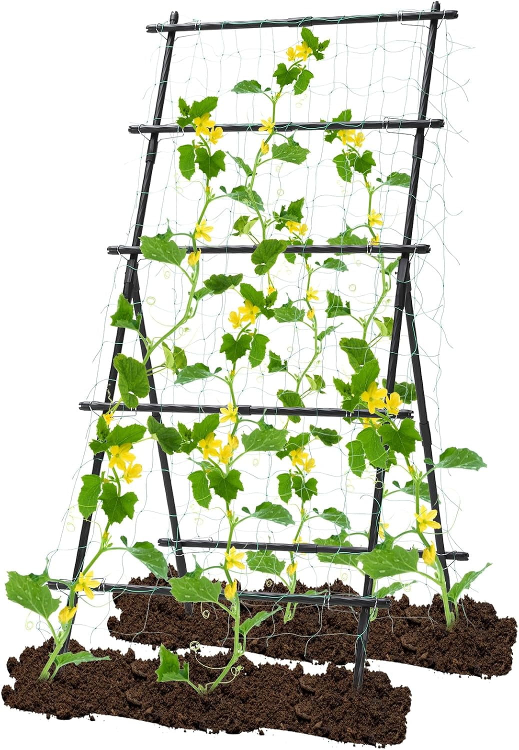 Garden Trellis for Climbing Plants, 6ft Cucumber Trellis for Raised Bed ...