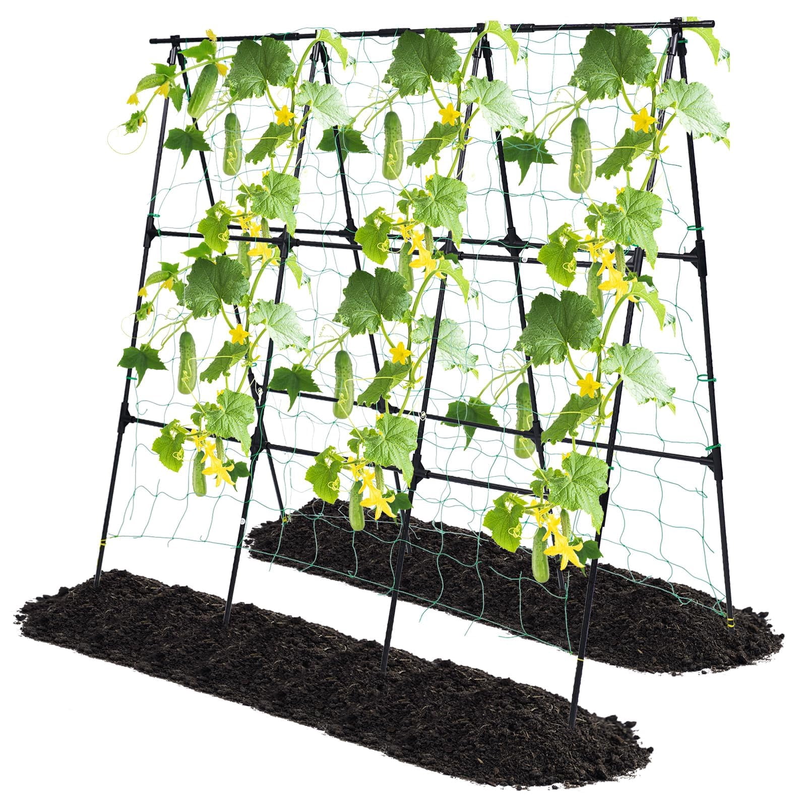 Garden Trellis For Climbing Plants Outdoor  Cucumber Raised Bed A Frame Vine Support Vegetable Tomatoes Peas Pole Beans 50x48 Inch With Netting Black