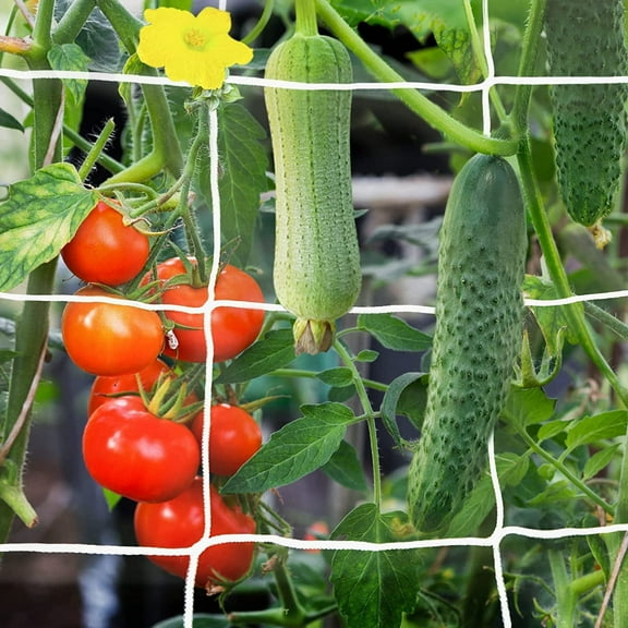 Garden Trellis Netting - 5.4 x 16.4ft,Heavy Duty Polyester Plant Support Netting Grow Net,Square Mesh for Grow Tents,Climbing,Fruits,Vegetables and Flower