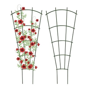 Garden TrellisforClimbing Plants Outdoor, Trellis, Plant, Small Plant Trellis, Plant Support Structures, Metal Garden Trellis, Fan Frame, Green, 24 In, 1 Pc