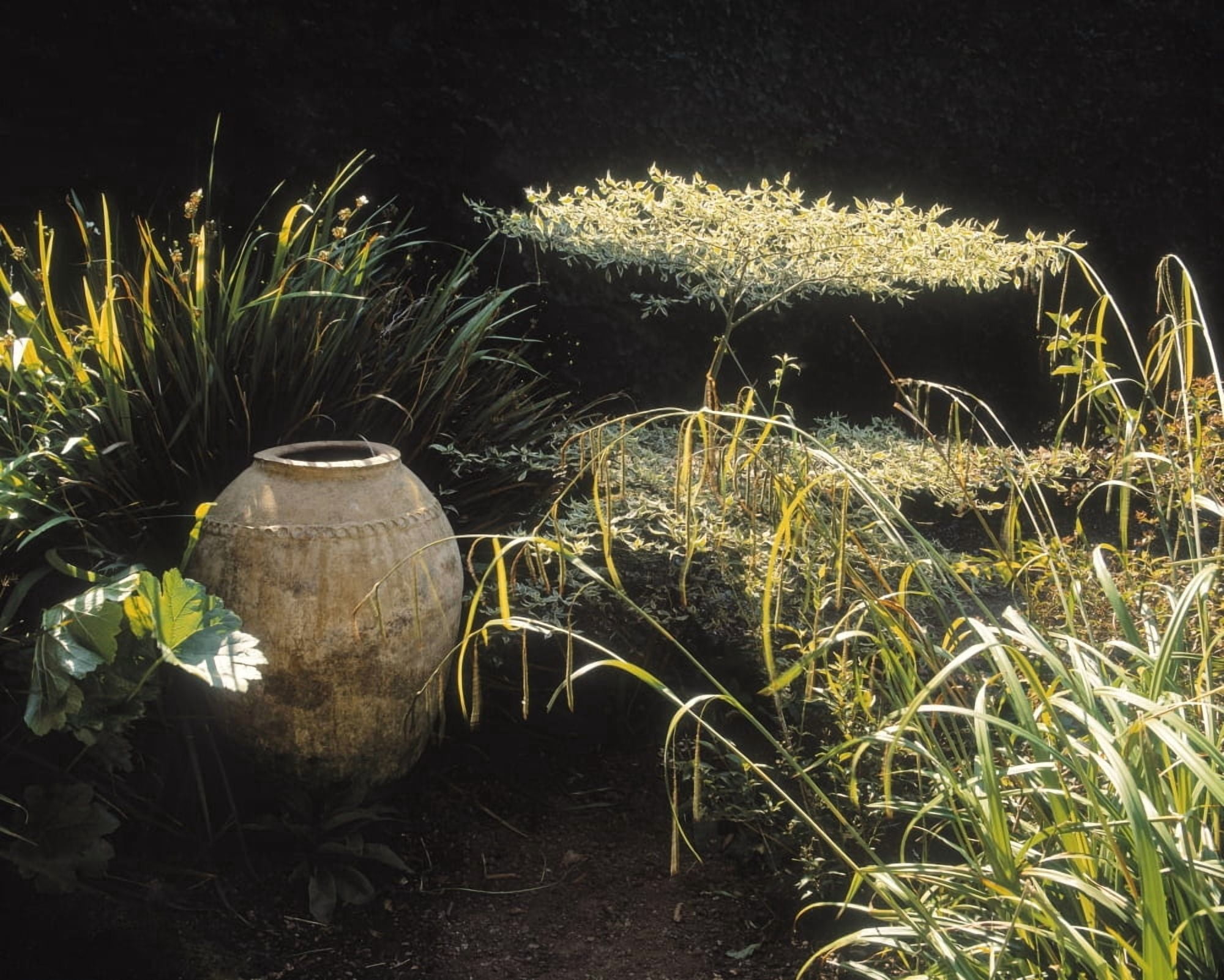 Garden Urns In A Garden Canvas Art - The Irish Image Collection Design Pics (32 x 24)