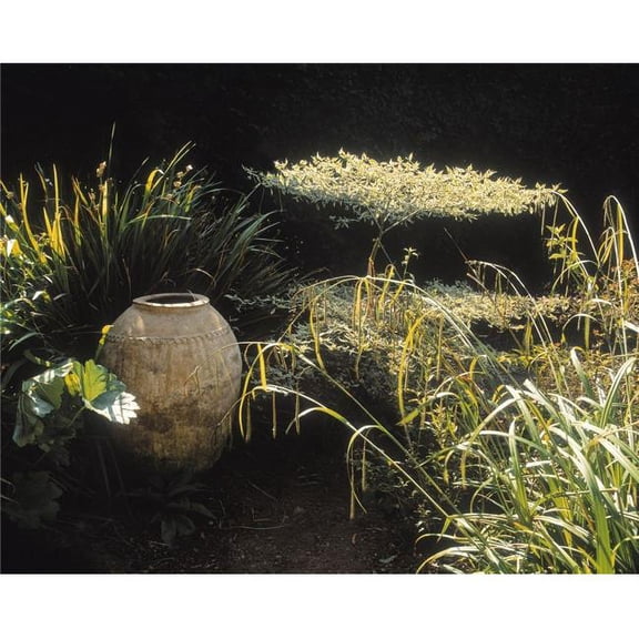 Garden - Urns in a Garden Poster Print by The Irish Image Collection - 32 x 24 - Large