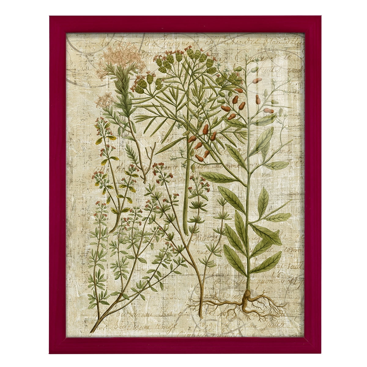 Garden Verses I -Framed Print w/glass-Cherry Red