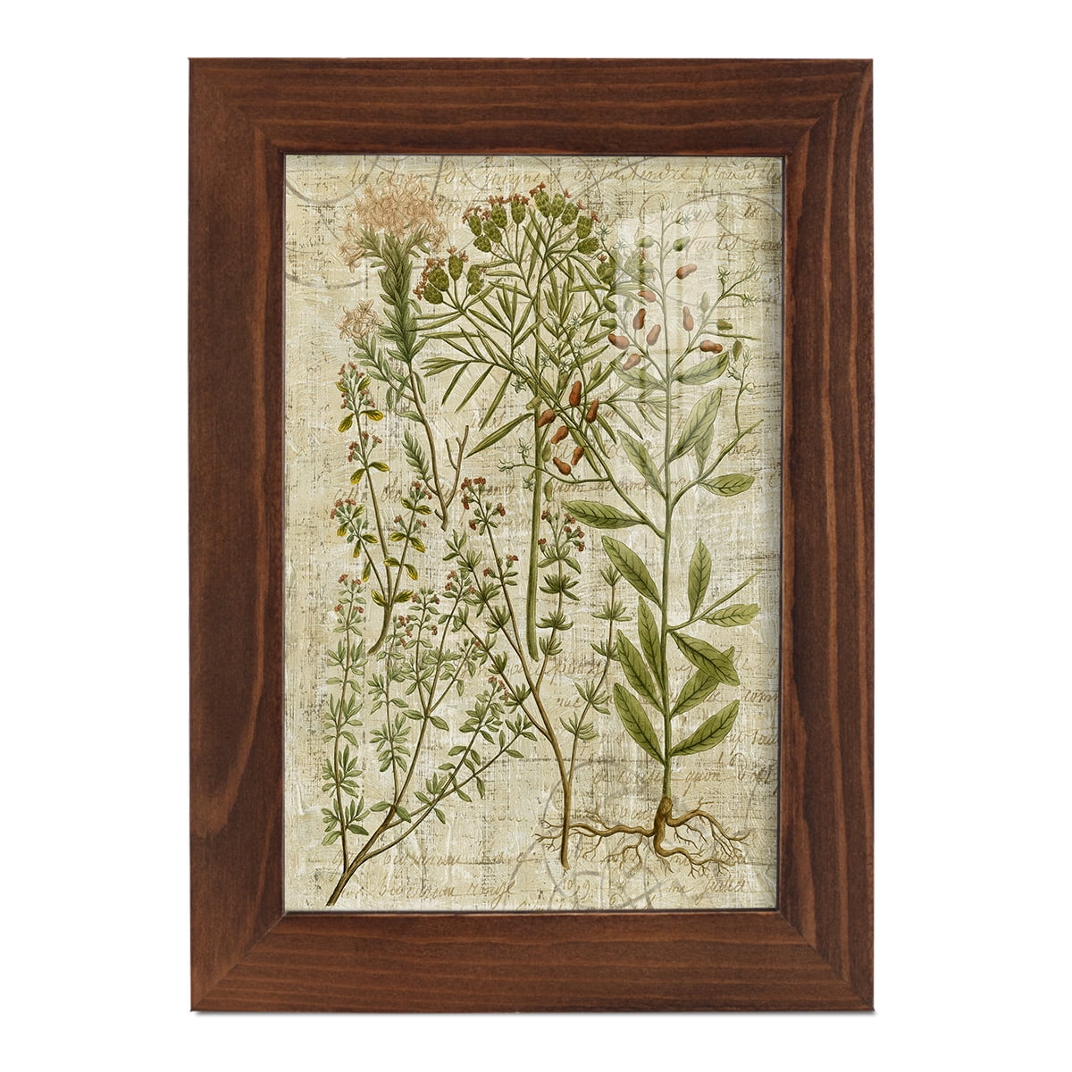 Garden Verses I -Framed Print w/glass-Chestnut