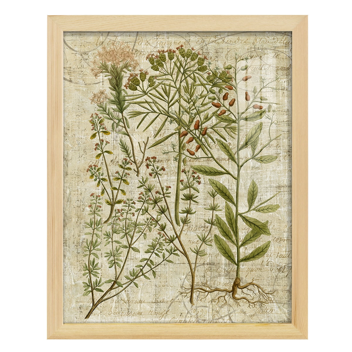 Garden Verses I -Framed Print w/glass-Natural Wood