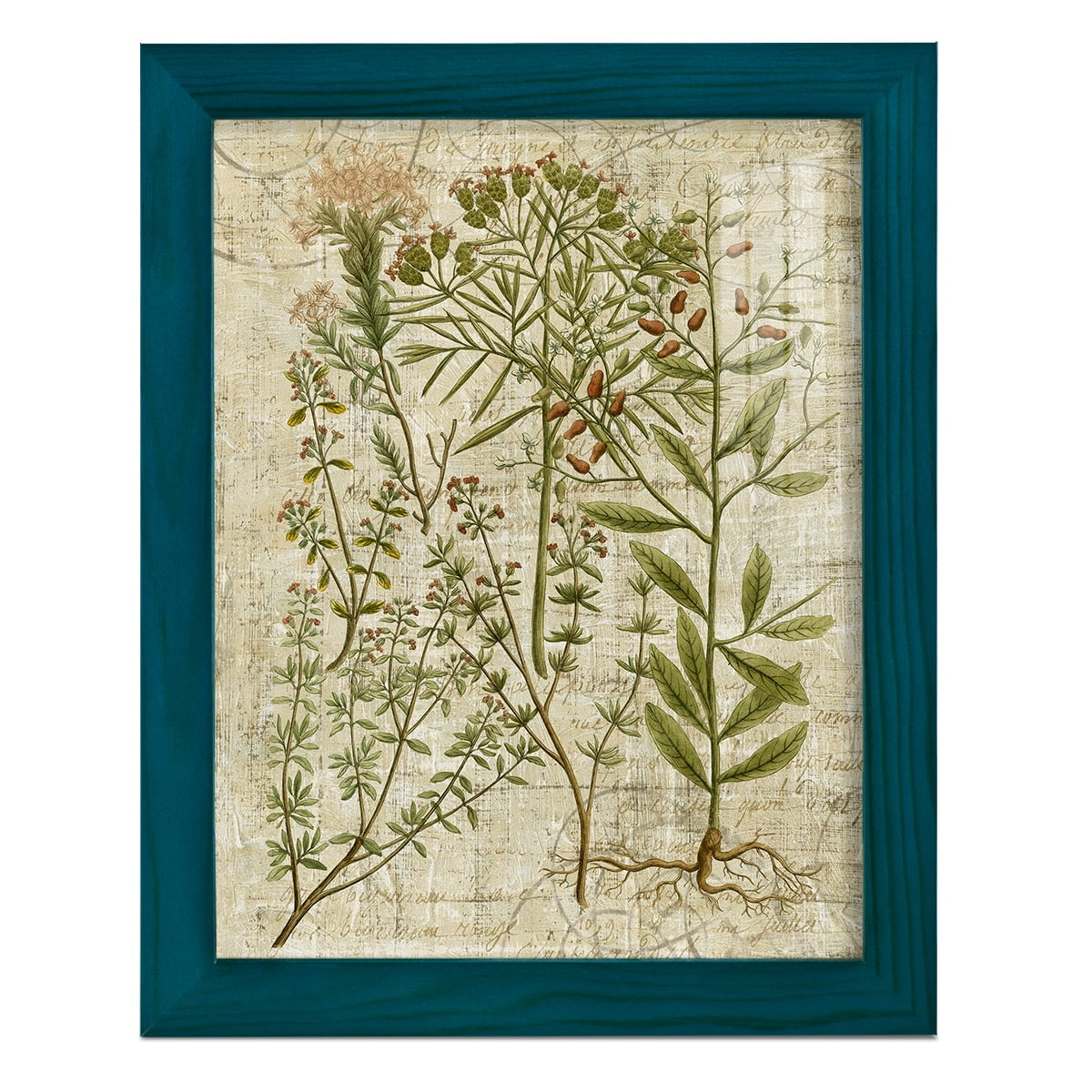 Garden Verses I -Framed Print w/glass-Ocean Blue