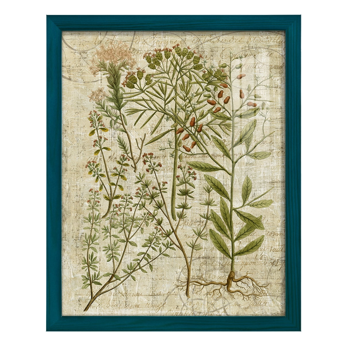 Garden Verses I -Framed Print w/glass-Ocean Blue