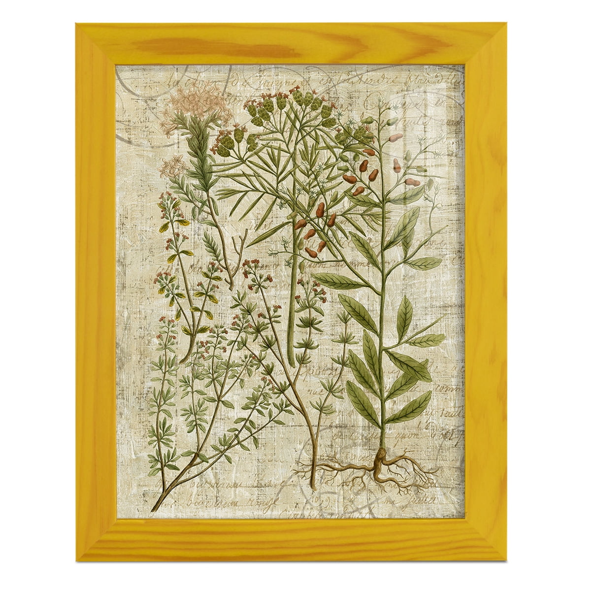 Garden Verses I -Framed Print w/glass-Sunflower Yellow