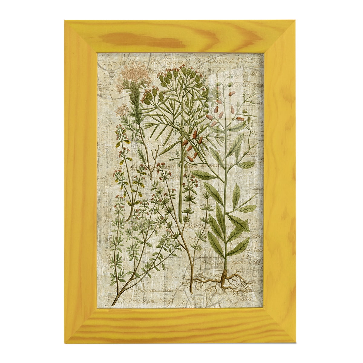 Garden Verses I -Framed Print w/glass-Sunflower Yellow