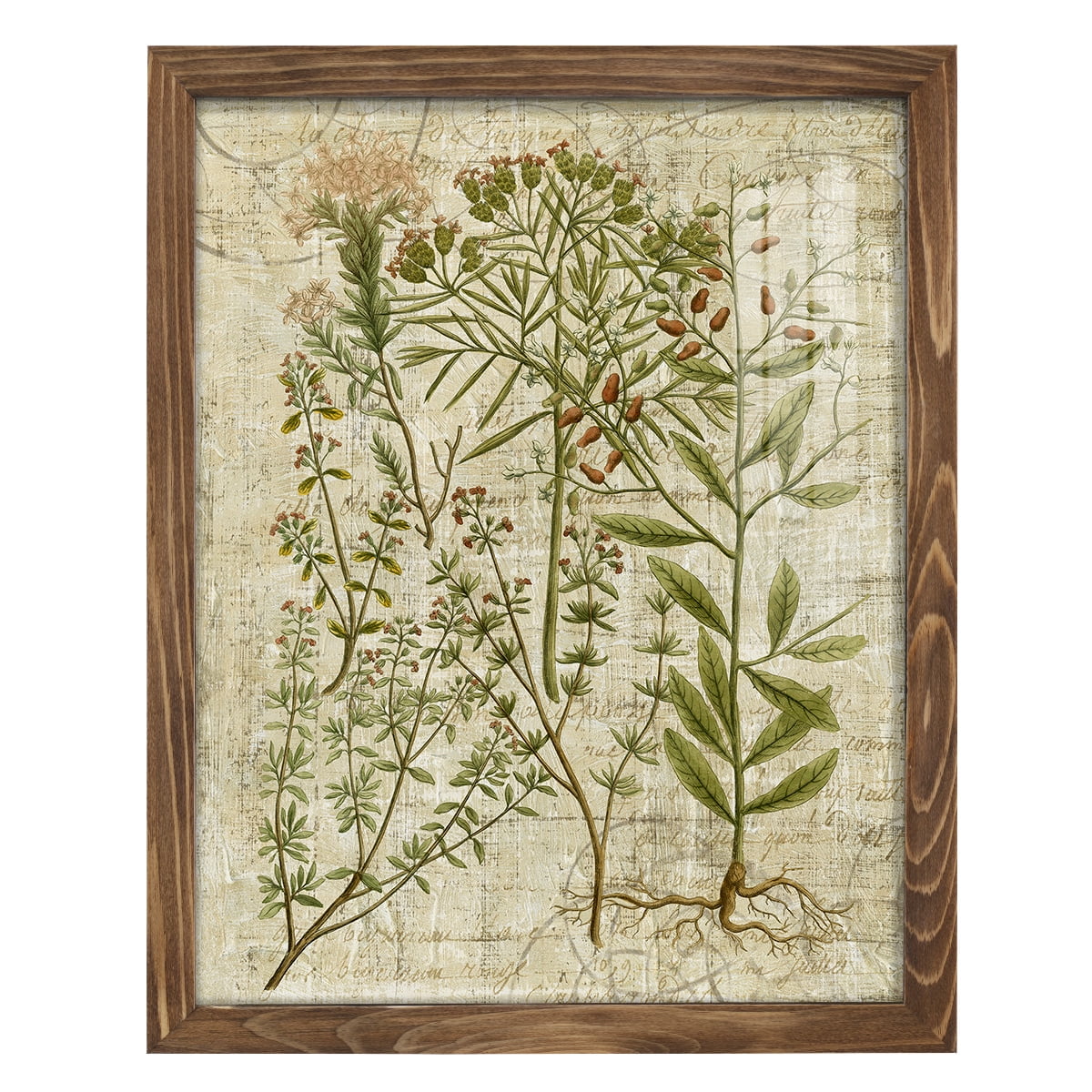 Garden Verses I -Framed Print w/glass-Walnut