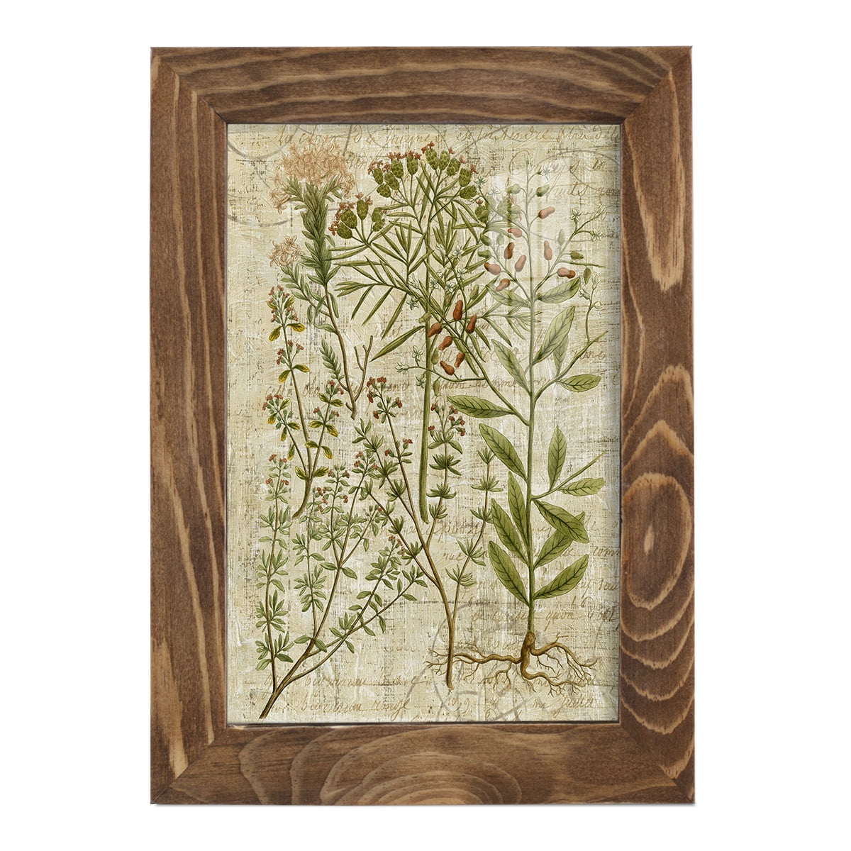 Garden Verses I -Framed Print w/glass-Walnut