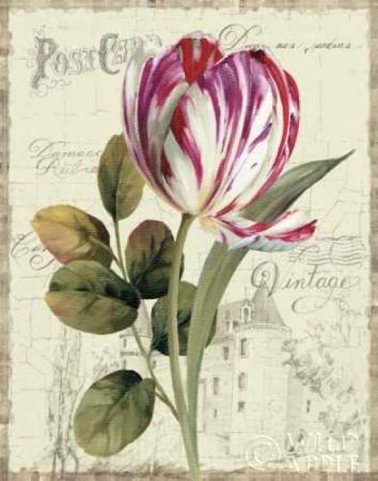 Garden View II - Tulip Canvas Art - Lisa Audit (22 x 28)