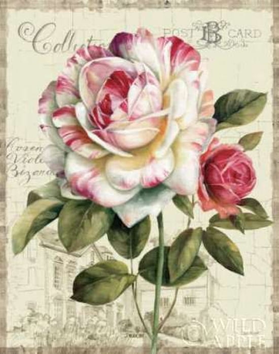 Garden View III - Rose Canvas Art - Lisa Audit (22 x 28)