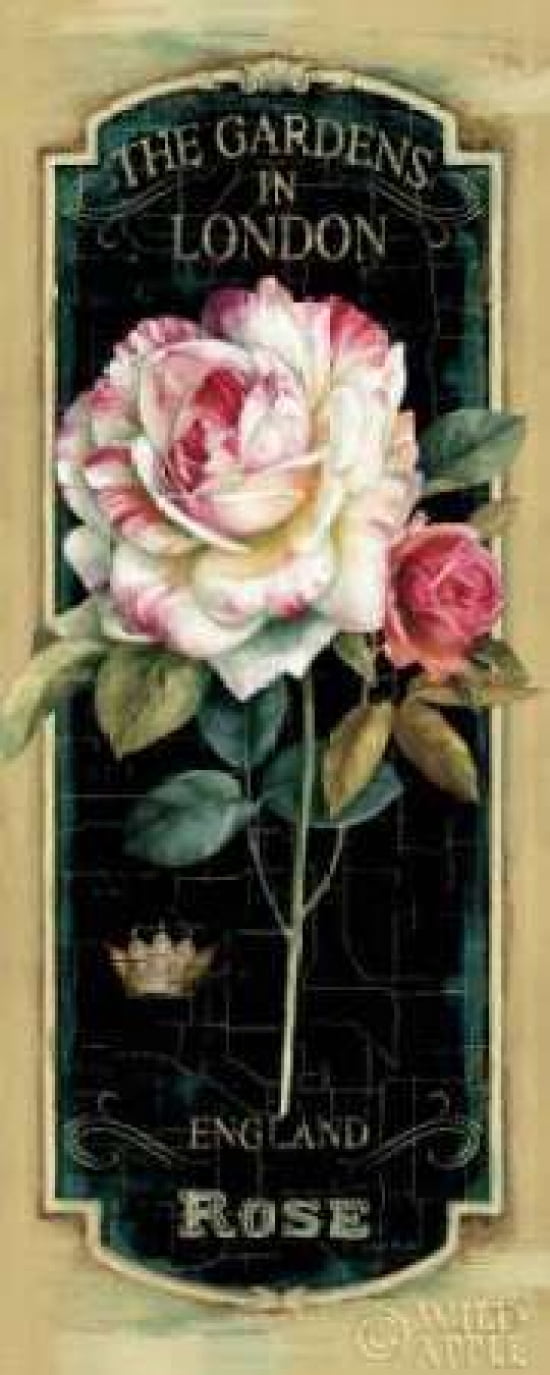 Garden View V Black Canvas Art - Lisa Audit (10 x 20)