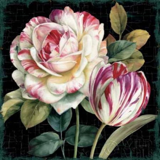 Garden View VIII Black Canvas Art - Lisa Audit (24 x 24)