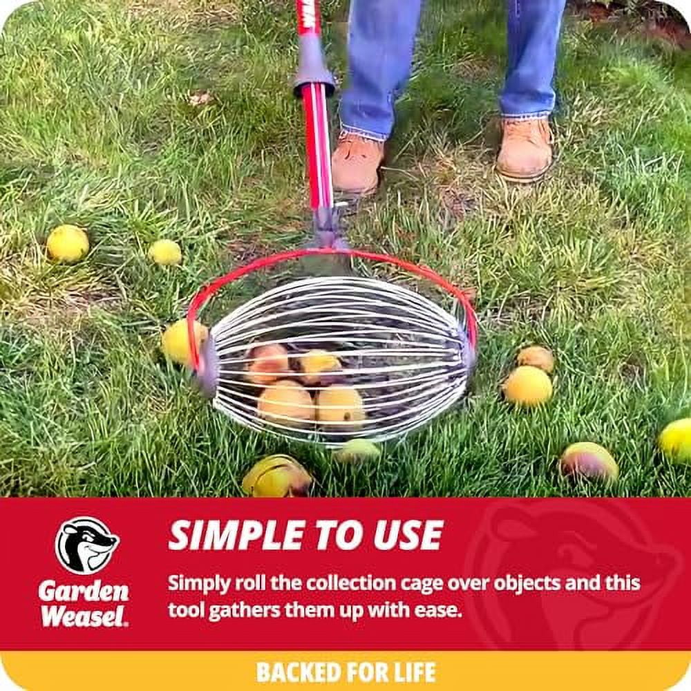 Garden Weasel Nut Gatherer Large Cage Pick Up Walnuts, Small Apples
