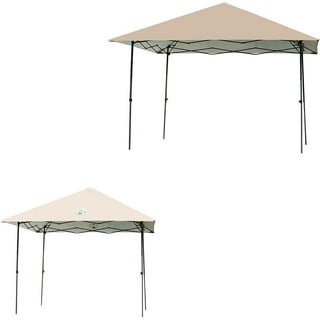 Coleman 10x10 canopy parts online