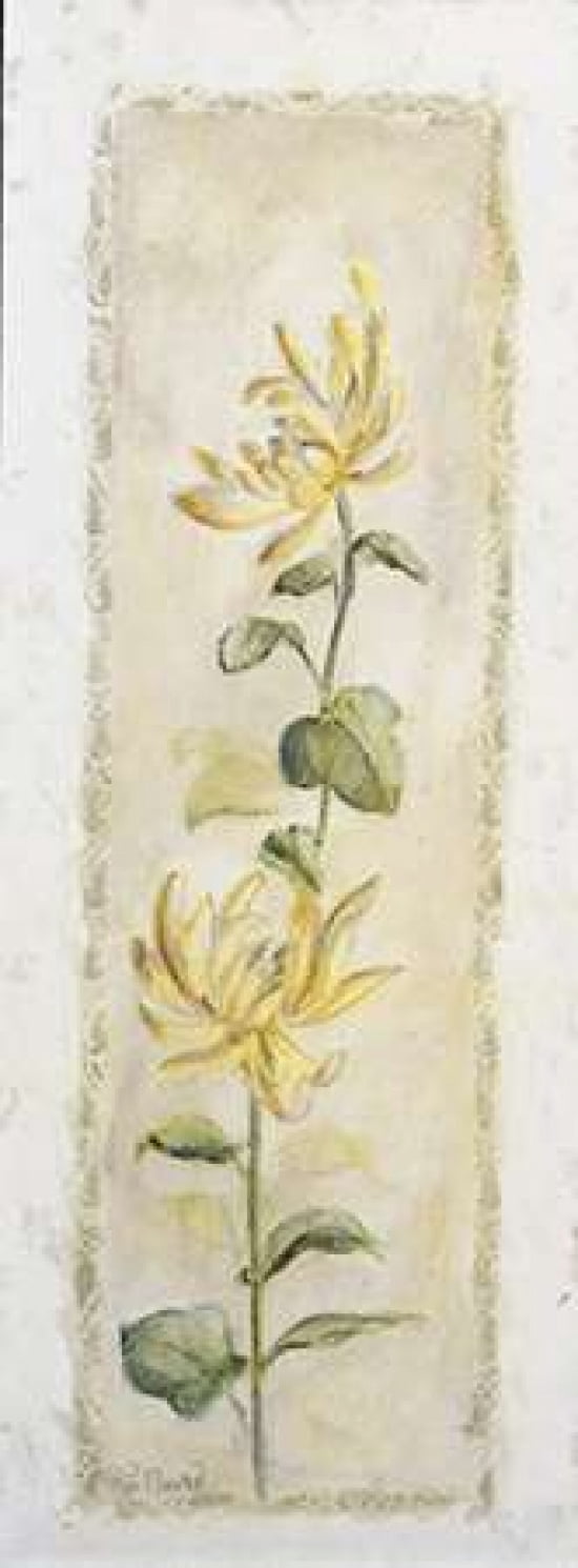 Garden delight-chrysantuemum Canvas Art - Julia Bonet (10 x 20)