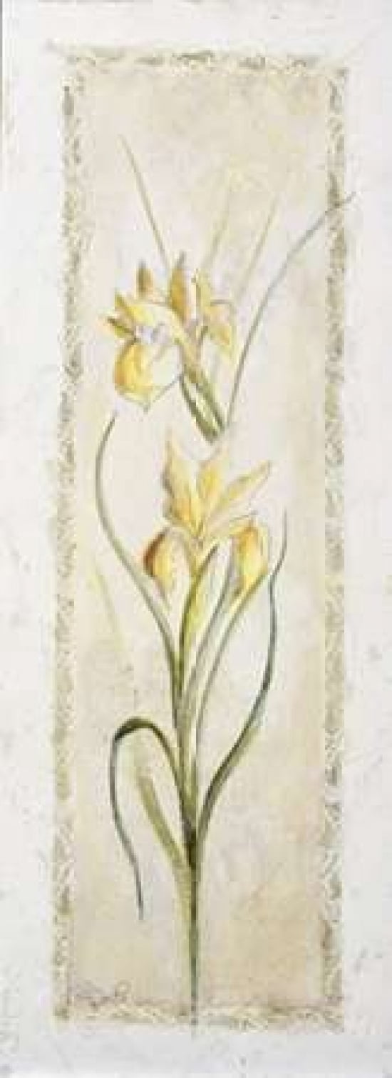Garden delight-iris Canvas Art - Julia Bonet (10 x 20)