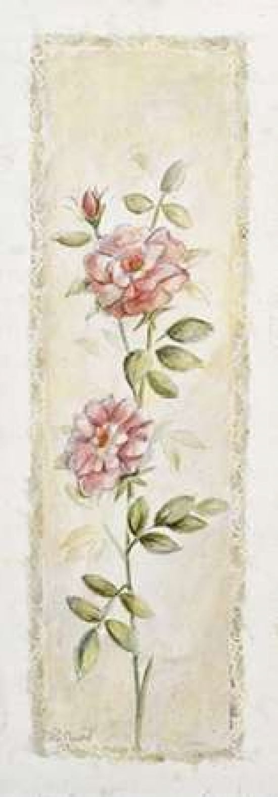 Garden delight- rose Canvas Art - Julia Bonet (10 x 20)