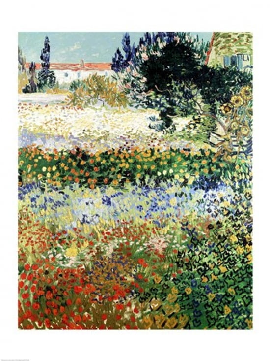 Garden in Bloom Arles 1888 Canvas Art - Vincent Van Gogh (18 x 24)