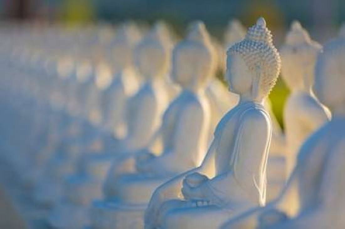 Garden of Buddahs II Canvas Art - Kathy Mahan (24 x 36)