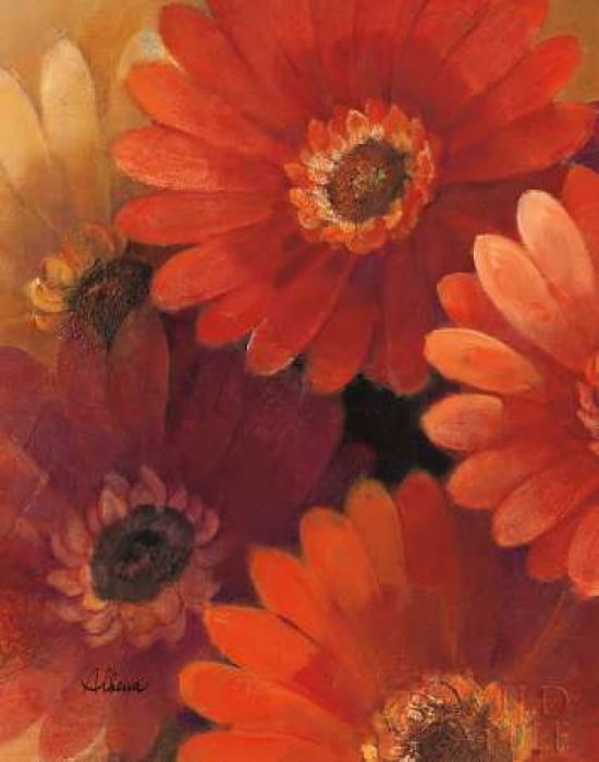 Garden of Gerberas II Canvas Art - Albena Hristova (22 x 28)