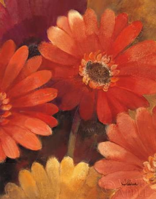 Garden of Gerberas III Canvas Art - Albena Hristova (22 x 28)