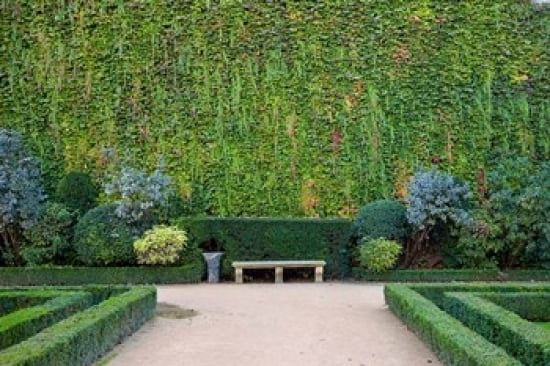 Garden of Hotel de Sully Canvas Art - Brian Jannsen DanitaDelimont (36 x 24)