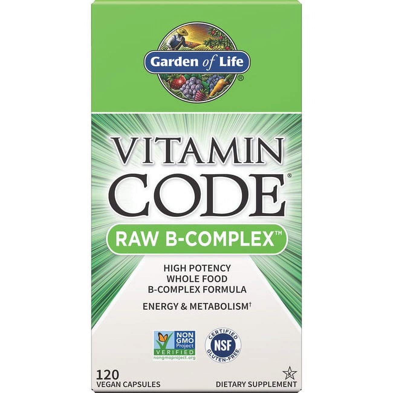 Garden of Life Vitamin Code Vitamin B Complex, 120 Capsules - image 1 of 2