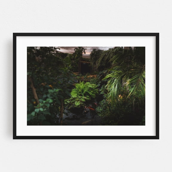 Garden of Tranquility - Photography Tropical Garden Botanical Aquatic Nature Forest Jungle Black Framed Wall Art Print 24 x 36 inches