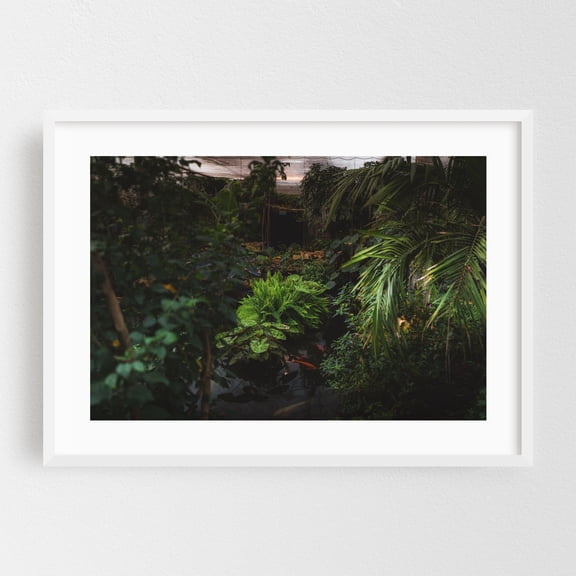 Garden of Tranquility - Photography Tropical Garden Botanical Aquatic Nature Forest Jungle White Framed Wall Art Print 24 x 36 inches