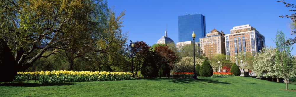 Garden with skyscrapers in the background Boston Public Garden Boston Massachusetts USA Canvas Art - Panoramic Images (36 x 12)