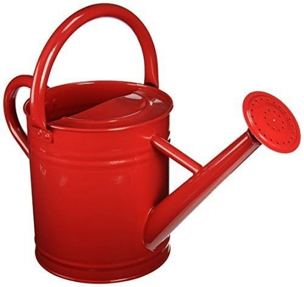 Red Galvanized Metal Watering Can with Removable Rosette, 3 Liters