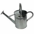 thumbnail image 1 of Gardener Select  4 Liter Watering Can, Galvanized, 1 of 1