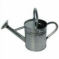 thumbnail image 1 of Gardener Select Galvanized Watering Can, Silver, 64 oz, 1 of 2