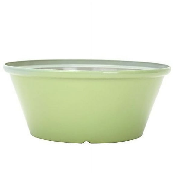 Gardener Select Tulip Bowl Planter, Green, 12"