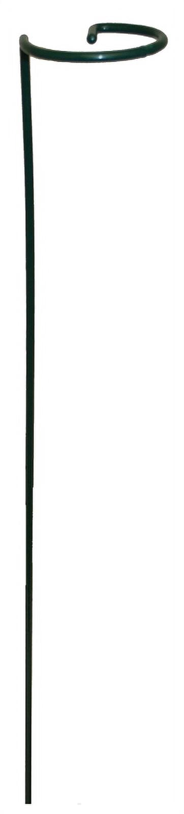 Gardener's Blue Ribbon 24