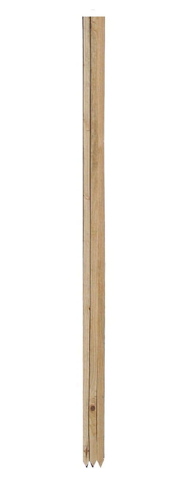 Gardener's Blue Ribbon 3' Wood Stakes - Walmart.com