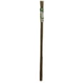 thumbnail image 1 of Gardener's Blue Ribbon BB4 Plant Stake, 4 ft L, Bamboo, Natural Bamboo, 1 of 1