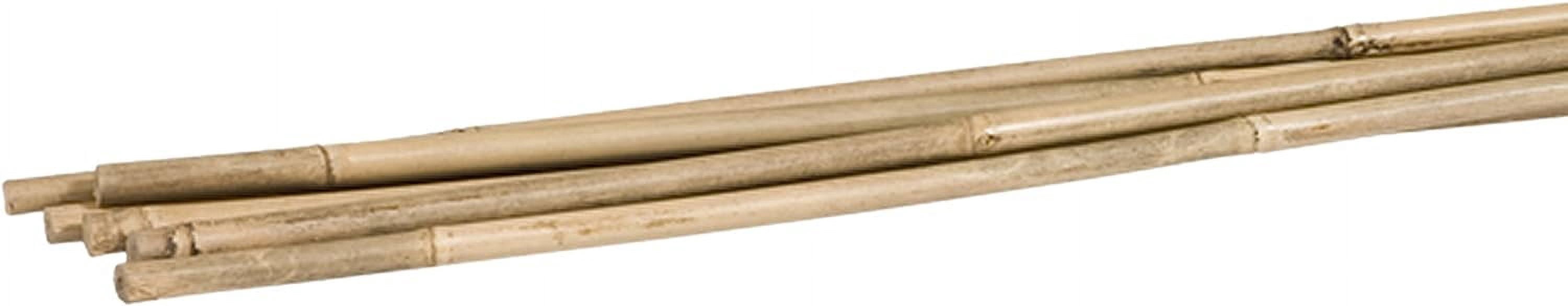 Gardener's Blue Ribbon BB5 6-Pack Bamboo Plant Stakes, 5-Feet, Natural ...