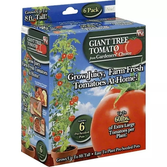 Gardeners Choice Giant Tree Tomato 12 Pre-Seeded Pots Up to 60 lbs Yield