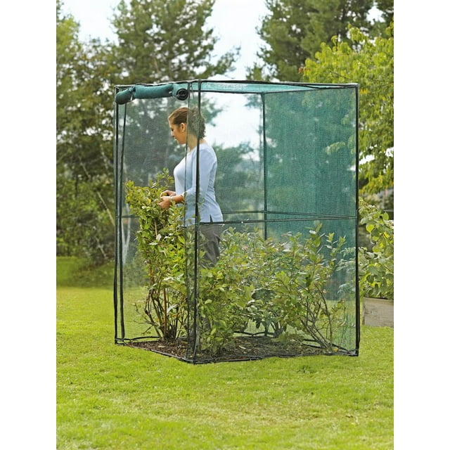 Gardener's Supply Company 4' x 4' WalkIn Crop Cage