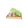 Gardener's Supply Company Cucumber Trellis Garden Bed Support for